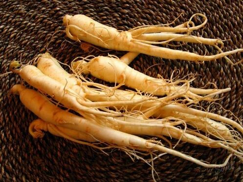 ginseng gyökér a hatékonyság növelése után 60