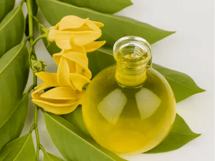 Aromaterápia a hatékonyság javítása érdekében